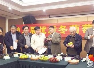 ȫ�����ʶ�����Ʒ�ִ��ƴ  Į�����¿ˡ�ժ�á�һ��